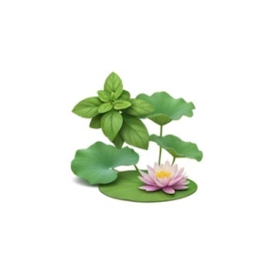 Aquatic Plants