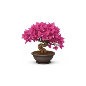 Bonsai