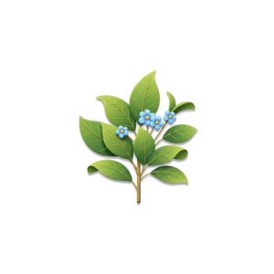 Dry Leaves