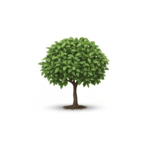 Fruit Plants & Trees