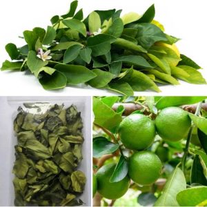 100% Natural Organic Dried Lemon 100 Leaves Pure Ceylon Herbal Fresh Healthy