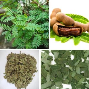 100g Pure Dried Tamarind Leaves - Whole Ceylon Herbal Remedy - Natural & Organic