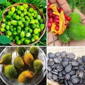 Momordica Dioica Seeds - Celoyn Gourd - Teasle Kakrol - Kantola - Kankoda Spine Seeds - 10g Organic Vegetables