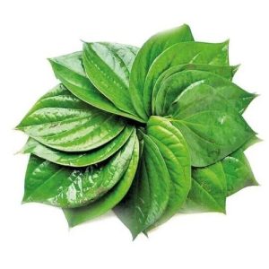 Organic Dried Betel 50 Leaves Whole - 100% Natural Herbal Leaves from Ceylon