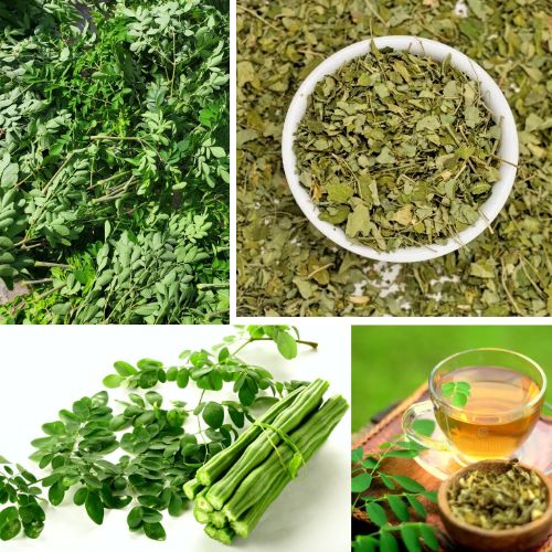 Organic Dried Moringa Leaves 50g - Oleifera Natural Herb Tea for Skin & Vitality