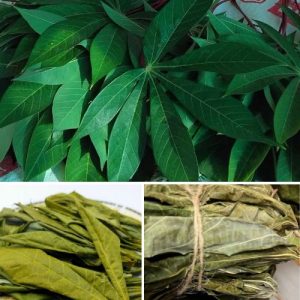 Dried Organic Manioc Cassava Leaves 50g - 100% Pure Natural Herbal Tea
