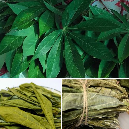 Dried Organic Manioc Cassava Leaves 50g - 100% Pure Natural Herbal Tea
