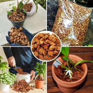 100% Clean Coconut Husk Fiber Growing Media for Orchids & Anthurium – Natural Moisture-Retentive Eco-Friendly 250g