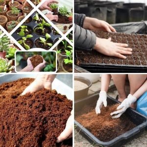 Fresh Organic Coconut Coir Coco Peat Compost Soil Media – Premium Growing Medium for Hydroponics and Gardening 250g